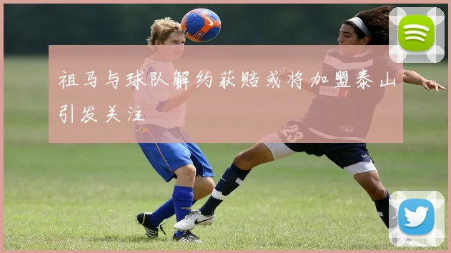 祖马与球队解约获赔或将加盟泰山引发关注