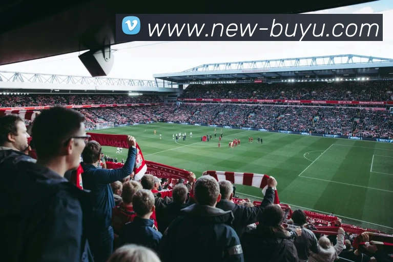 App Interface Preview